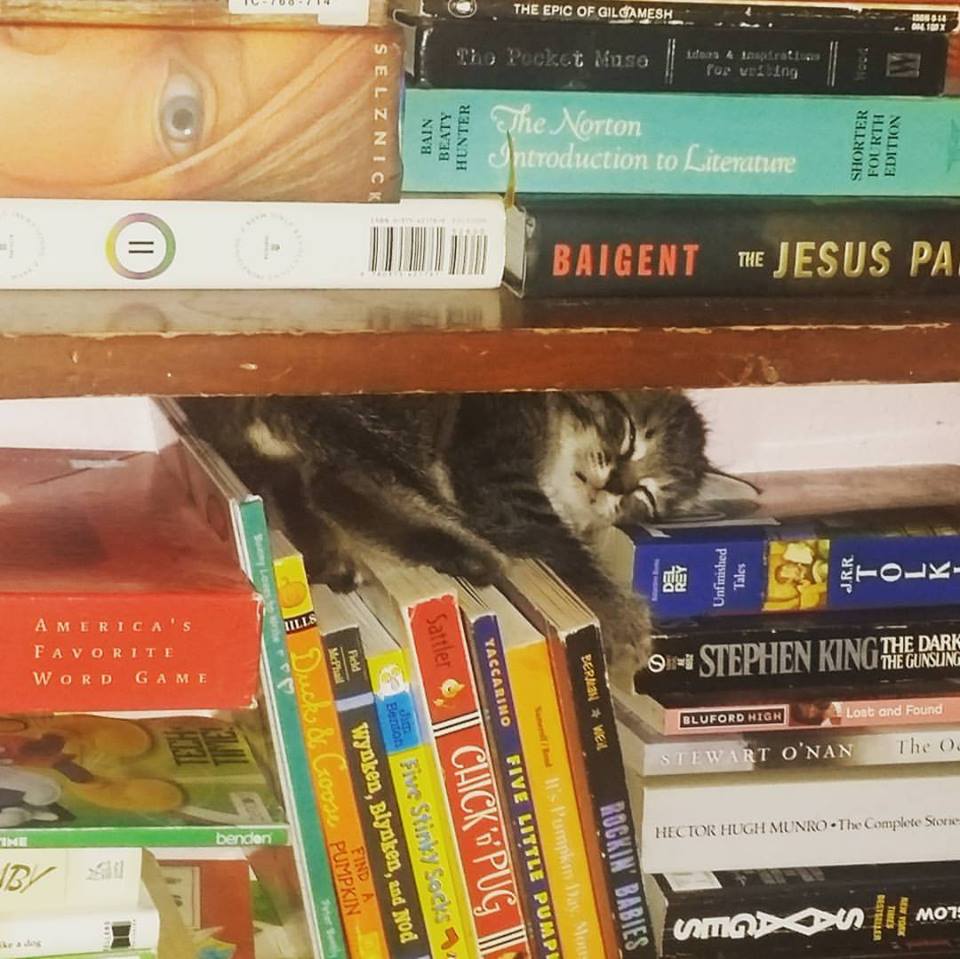 19030242_10100344785485947_4797095154543581812_n